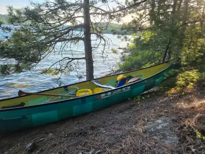 We are the Organic Boat Shop a canoe retail shop in Niagara with delivery through Ontario. We retail...