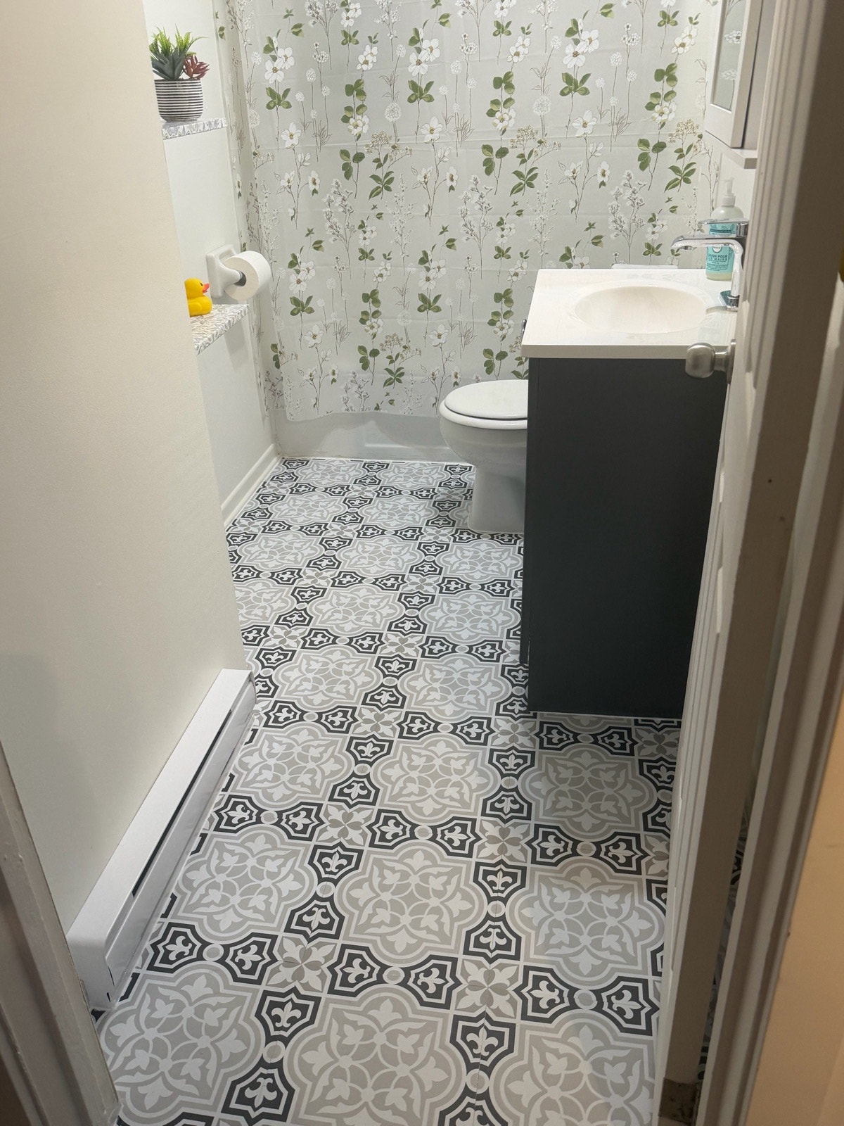 211 Rue Pierre le Moyne — photo 2