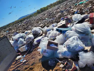 SCRAP & DUMP RUNS 807 633 9227, View more