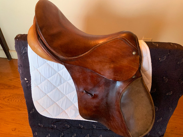 5 well-maintained used English saddles at a very low price! in Equestrian & Livestock Accessories in Peterborough - Image 3