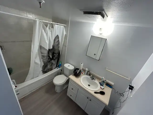 Two rooms for rent in three bedroom apartment—Halifax in Room Rentals & Roommates in City of Halifax - Image 9