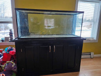 120 Gallon aquarium with stand