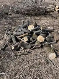Free fire wood