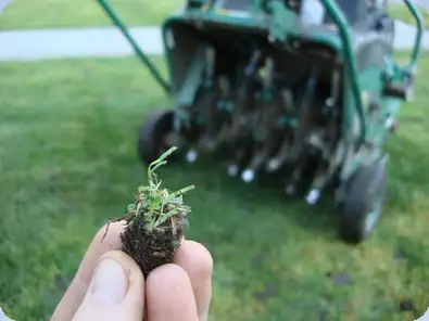 Lawn Aeration $50!, View more