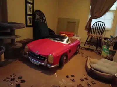 Very old collector 12volt sL300 must see first cash wins 69-glennie ave hamilton