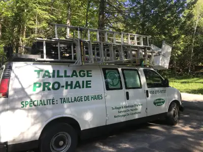 Taillage de haies, cèdres, feuillus, branches, arbres, nacelle, View more