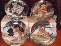 Pawprints: Baby Cats of the Wild Complete plates serie 