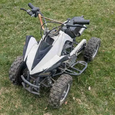 50cc 2 stroke quad. Newer carb and recoil. Engine runs nice Has electric start but battery is dead....