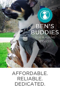 BEN'S BUDDIES DOG WALKING SERVICES