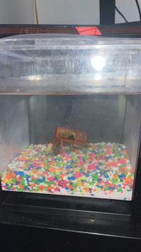 3 gallon fish tank
