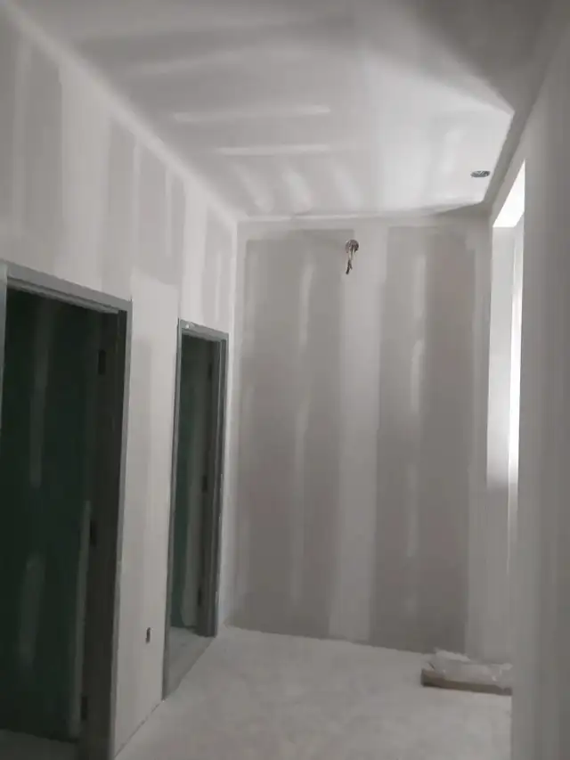 PROFESSIONAL DRYWALL TAPER