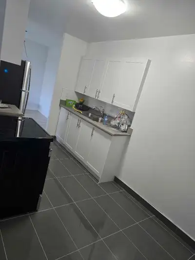 3 bedroom 2 full bathroom apartment