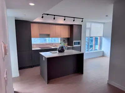beautiful Brand New Condo for Rent