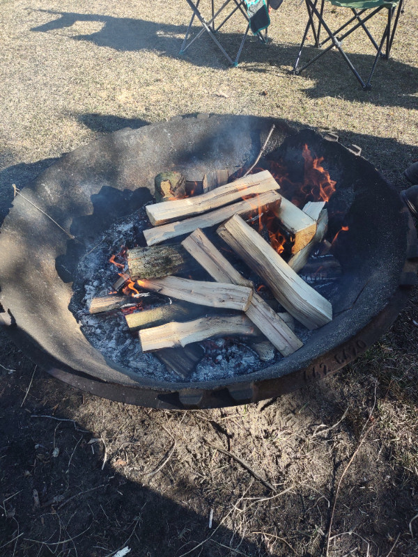 Dry Seasoned Hardwood Backyard or Camp Firewood Bundles in Other in Sault Ste. Marie - Image 3