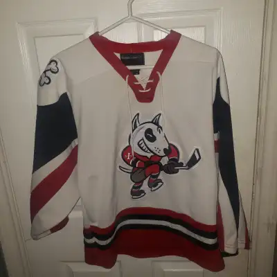 Youth Medium Niagara Ice Dogs Hockey Jersey, View more