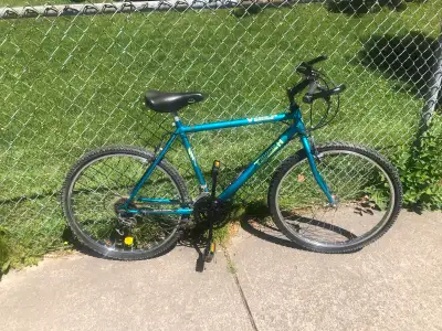 Vintage Triumph MTB bike, View more