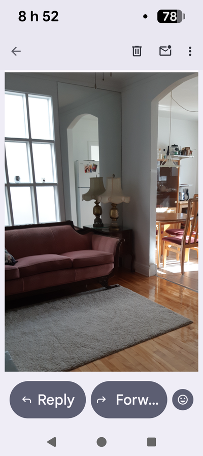 3 1/2 $1200 ensoleillé, eau chaude , laveuse et sécheuse, 2 grands balcons, près parc Maisonneuve et...