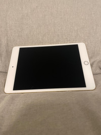 iPad mini model A1538