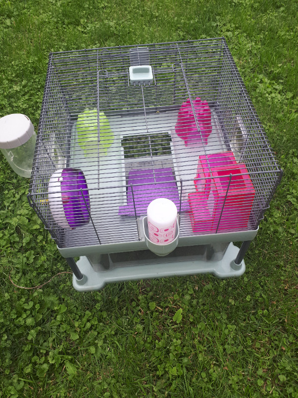 ***hamster cage**** in Small Animals for Rehoming in Windsor Region