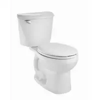 New Toilet With Install 