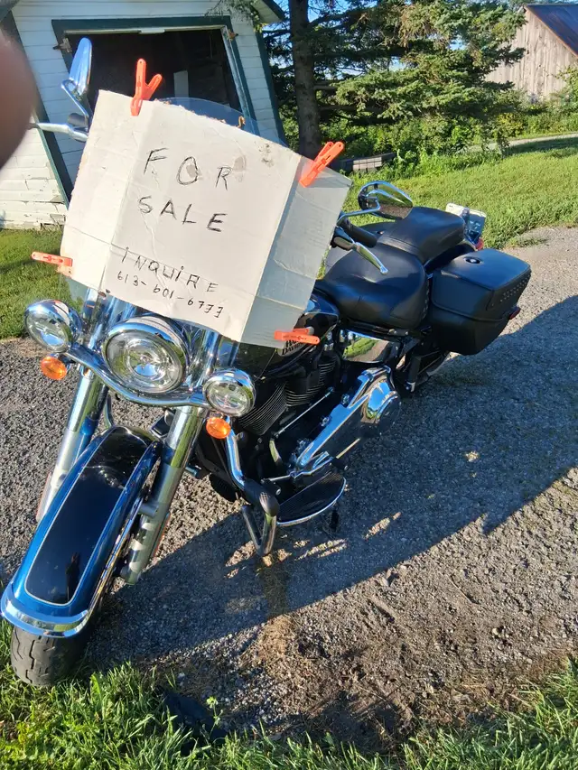 Harley Davidson softail in Street, Cruisers & Choppers in Ottawa - Image 3
