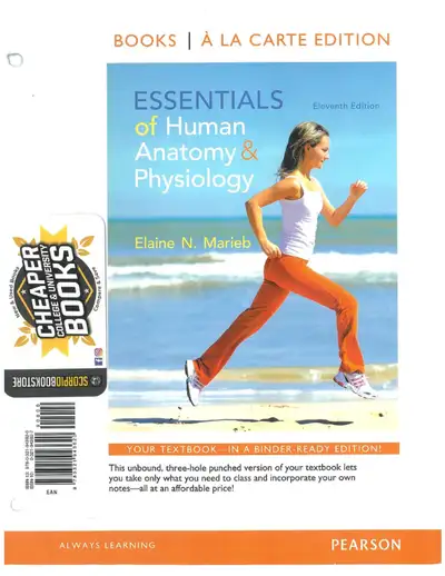 Essentials of Human Anatomy and Physiology 11E 9780321943620, View more