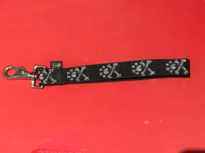 Lupine 1-Inch Bling handle that attaches to your dog collar new, View more
