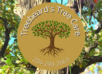 Treebeard's Tree Care - Your friendly valley arborist