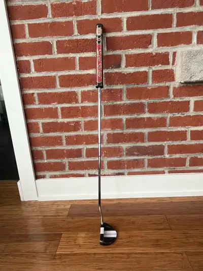 Putter Odyssey 32 pouces gaucher. Bonne condition, étui aimantée,grippe correcte. Acheté il y a 7 an...
