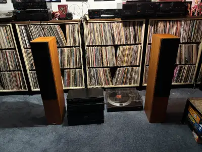 Selling a pair of Tannoy tower speakers. $300.00. No trades, cash only.