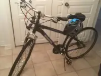 Schwinn Men’s bike