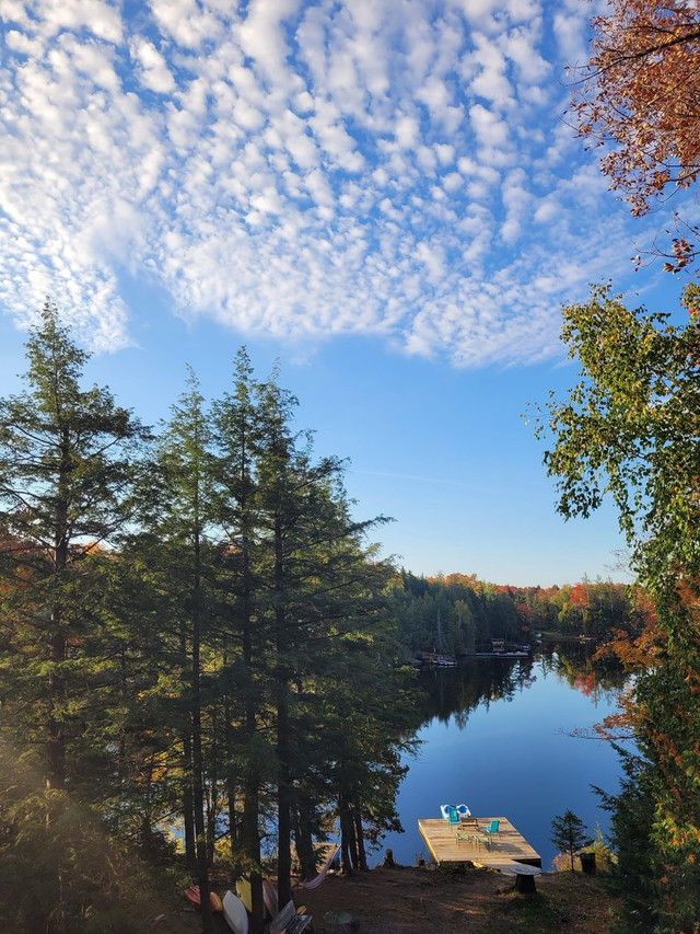 Lazy Loon waterfront cottage  in Ontario