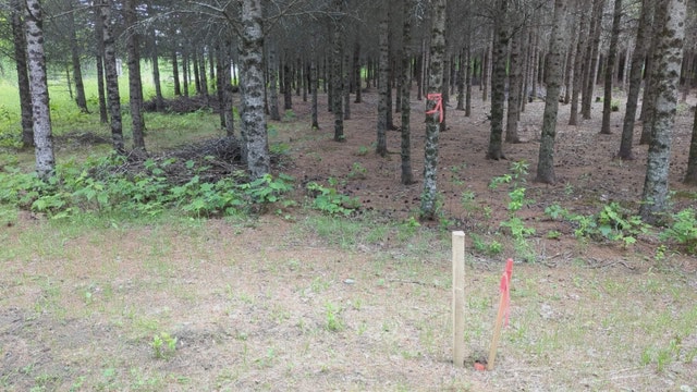 Terrain – Zone verte  – Saint-Gédéon-de-Beauce — photo 3