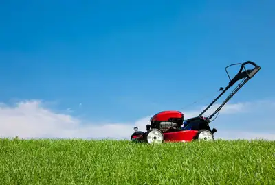 lawn mowing!, View more