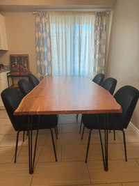 Structube modern 6 seaters acacia’s dining table & 6 chairs