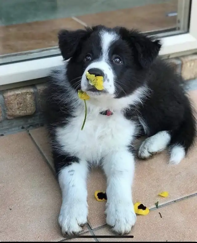 Making a Great Friendship(Read Entire Ad before Responding))!!! 64418619827459124