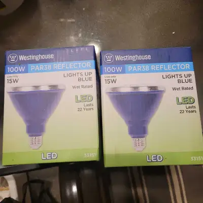 Blue LED flood lights, View more