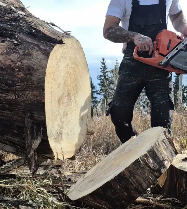 Papa Chops Tree Service 