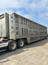 2011 Wilson livestock trailer