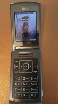 LG flip phone