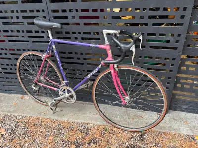 Vintage Fiori Napoli Road Bicycle, View more