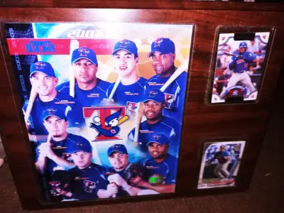 2003 TORONTO BLUEJAYS PICTURE WITH CARDS, View more