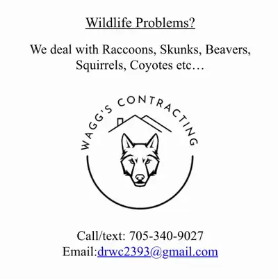 We deal with all types of wildlife and and insects give us a call if you have an unwanted guest in y...