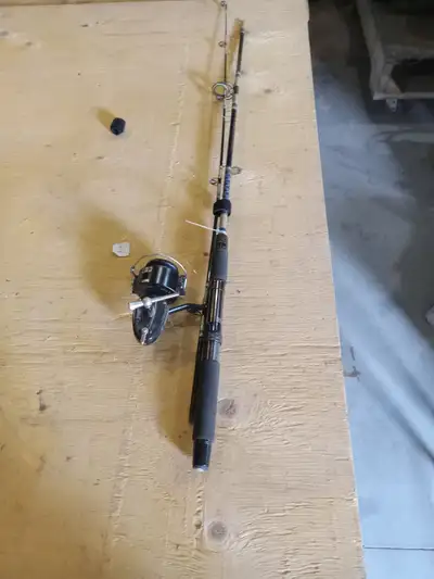 Fishing rod and mitchell 330 reel, View more