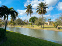 Condo à vendre 1 /1  rénové superbe vue sur le golf et le canal