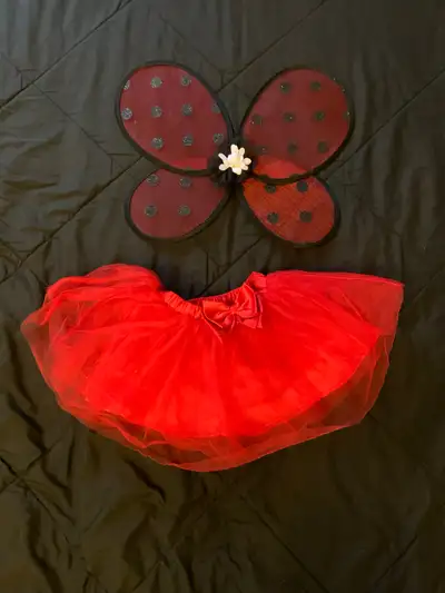 Ladybug skirt dress with wings, View more