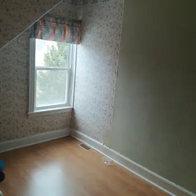 Looking for a roommate