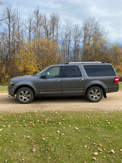 2010 Ford Expedition Max