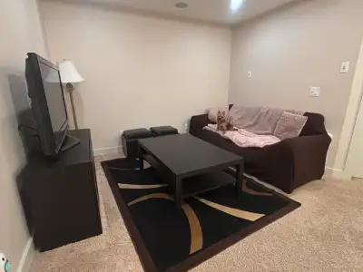 Cranston Basement Room