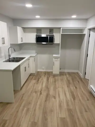 1 Bedroom apartment in the basement